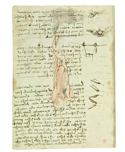 Codex on the Flight of Birds, Folio 17 Verso by Leonardo da Vinci